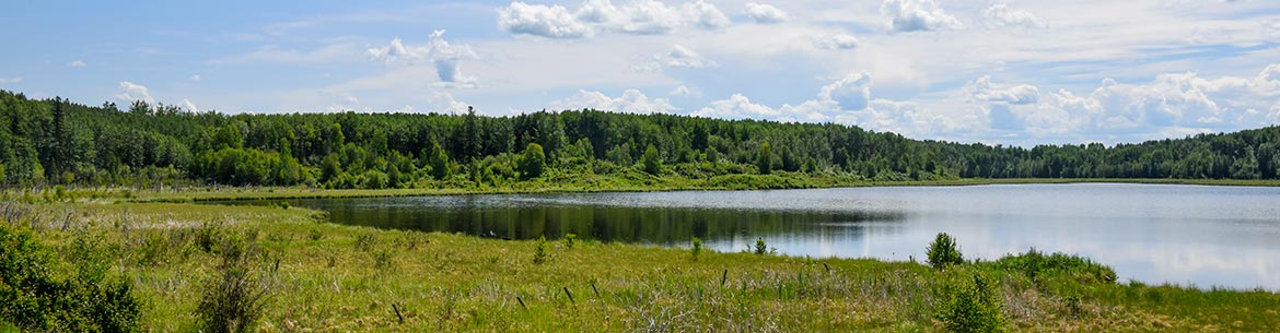 Coyote Lake, UNSRB, AB (Photo by NCC)