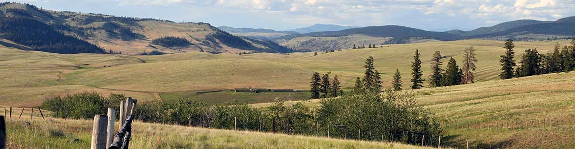 The grasslands of Frolek Ranch, BC (Photo by NCC)