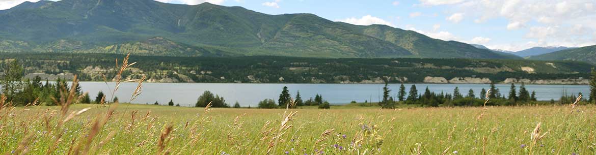 Columbia Lake-Lot 48 (Photo by Cole Lord May)