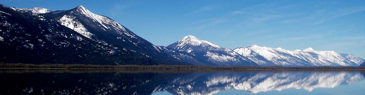 Darkwoods, BC (Photo by M.A. Beaucher)