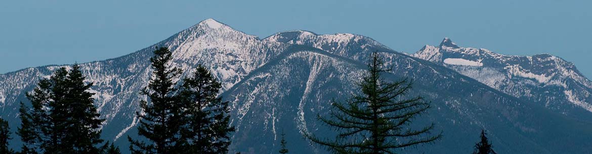 Darkwoods, BC (Photo by Bruce Kirkby)