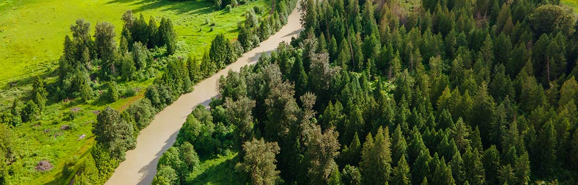 Ryan River Conservation Area (Photo by Fernando Lessa)