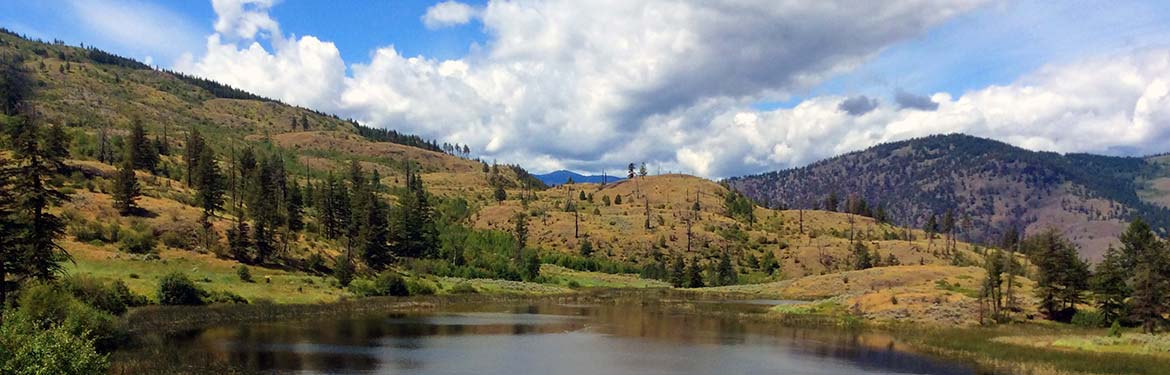Wetlands on the Sage and Sparrow Expansion property (Photo by NCC)