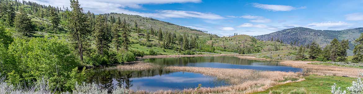 Sage and Sparrow Conservation Area (Photo by Steve Austin)