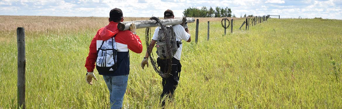 Volunteers carrying barbed wire, AB (Photo by NCC)