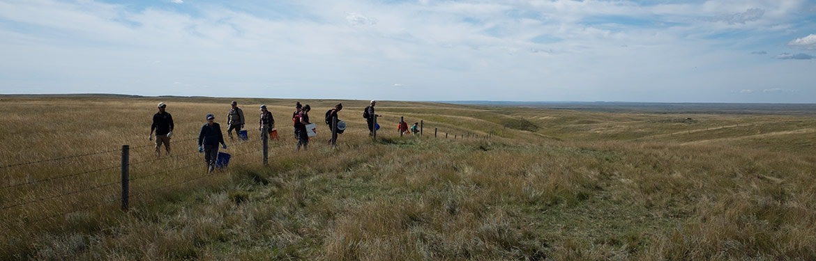 Installing fence clips at a Conservation Volunteers event (Photo by NCC)