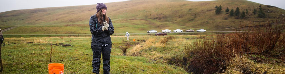 Volunteer at 2019 live staking event. (Photo by Brent Calver)