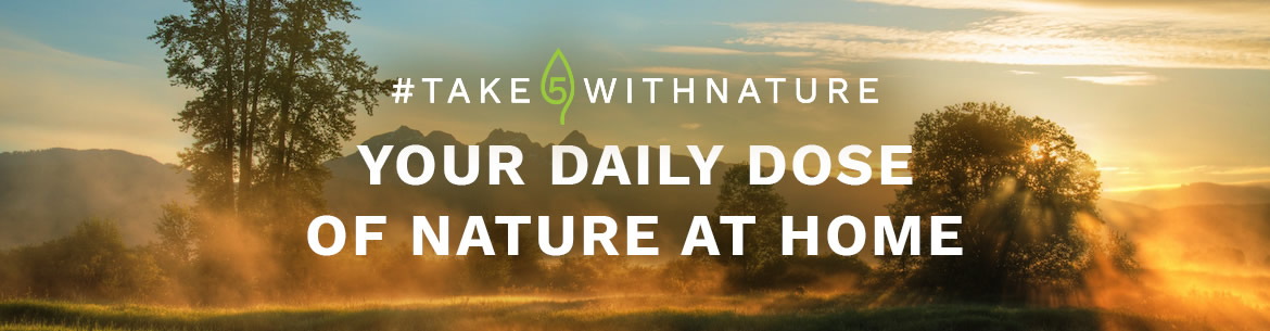 Take 5 - Nature Conservancy of Canada