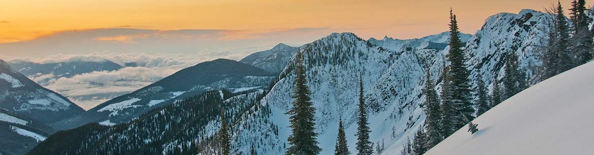 Darkwoods, BC (Photo by Bruce Kirkby)