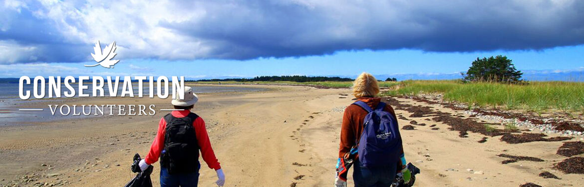 Sandy Point Beach Sweep, NS; Photo by NCC