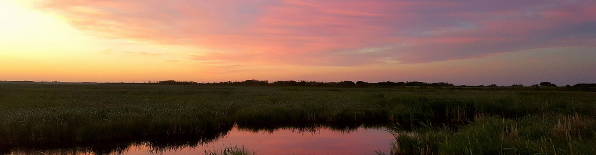 Sunset over Douglas Marsh (Photo by NCC)
