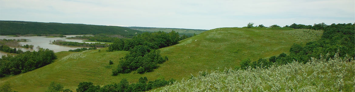 Fort Ellice Grassland. Photo by NCC.