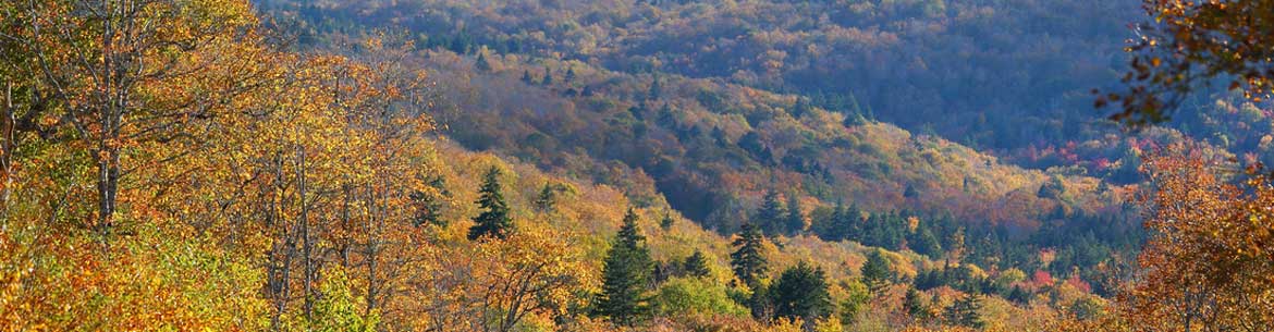 Cobequid Hills, Nova Scotia (Photo by Mike Dembeck)