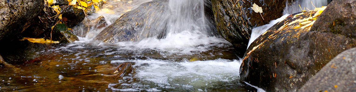 Autumn creek (Photo by Karol Dabbs)