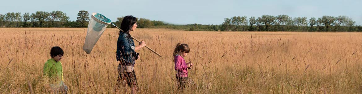 The Forks Prairie Garden, Manitoba (Photo by Thomas Fricke)