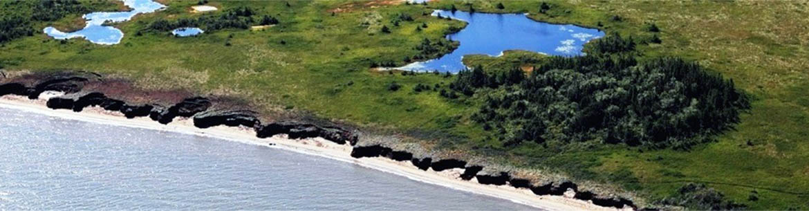 The Nature Conservancy of Canada's Nature Reserve in Escuminac, NB (Photo by Mike Dembeck)