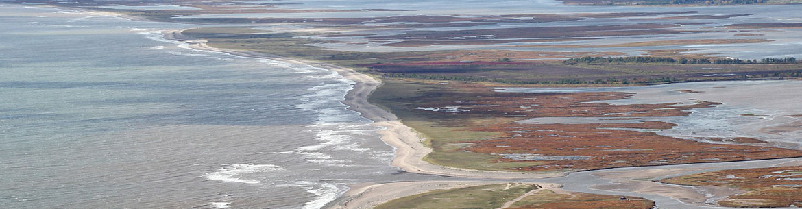 Pokemouche wetlands, New Brunswick (Photo by Mike Dembeck)