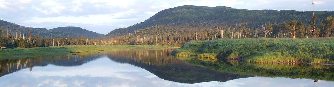 Grassy Place, NL (Photo by Paul Grenier)