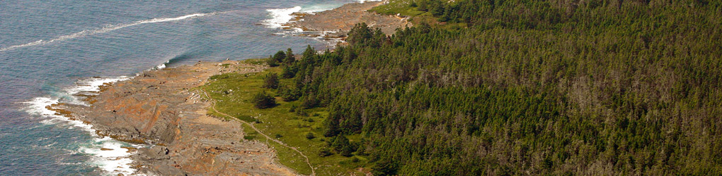Gaff Point in Nova Scotia's South Shore (photo by Mike Dembeck)