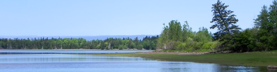 Pugwash Estuary, NS (Photo by NCC)  