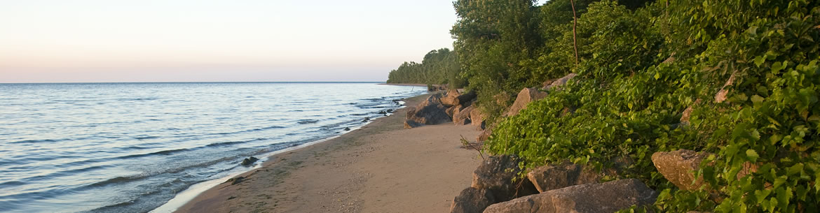 Shore of the Novatney Property, Pelee Island, ON (Photo by Sam Brinker, OMNR) 