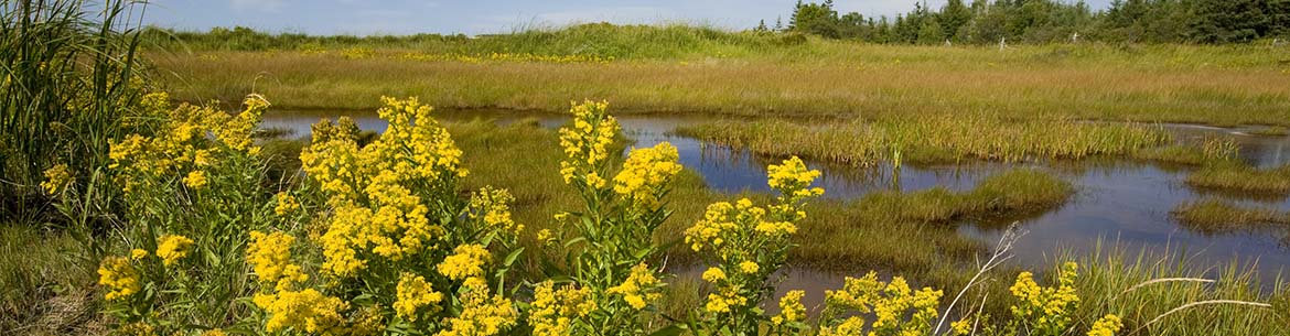 Abram-Village, Prince Edward Island (Photo by John Sylvester)