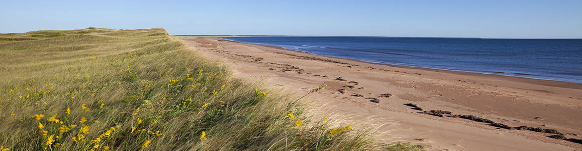 Conway Sandhills, PEI (Photo by John Sylvester)