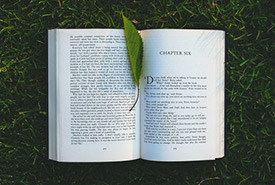 Nature reading list (Photo by Pexels)